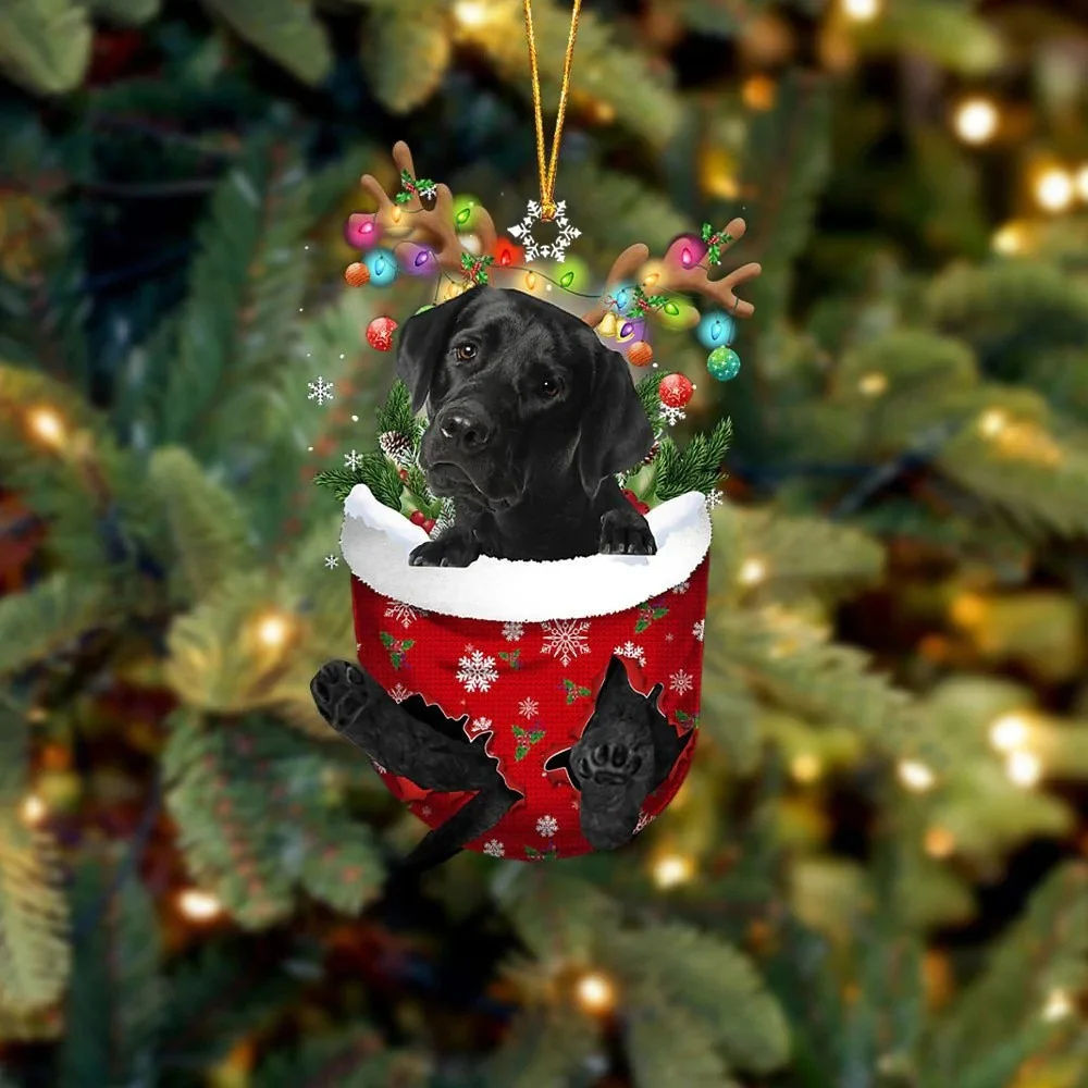 1 бр. чорапи за кучета Весела Коледа, Коледни чорапи, Висулка във формата на елхи, украса за дома, Коледа нова година пакет за бонбони . ' - ' . 3